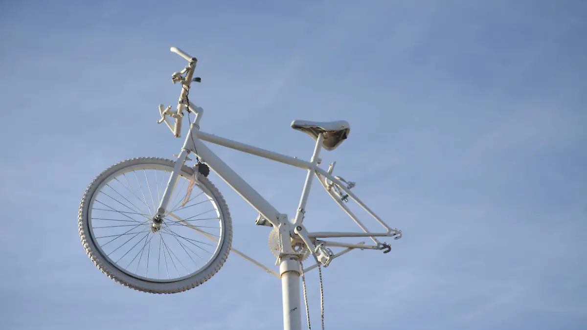 18-01-2023-Bicicleta Blanca carretera Mina NICO-carlos Villalba (18)